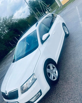 Skoda Octavia cena 27000 przebieg: 340000, rok produkcji 2014 z Rzeszów małe 191